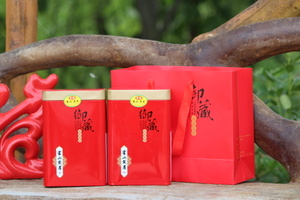 【预售】2023年新茶传统制作安徽黄茶手工炒制霍山黄芽罐装500g包邮